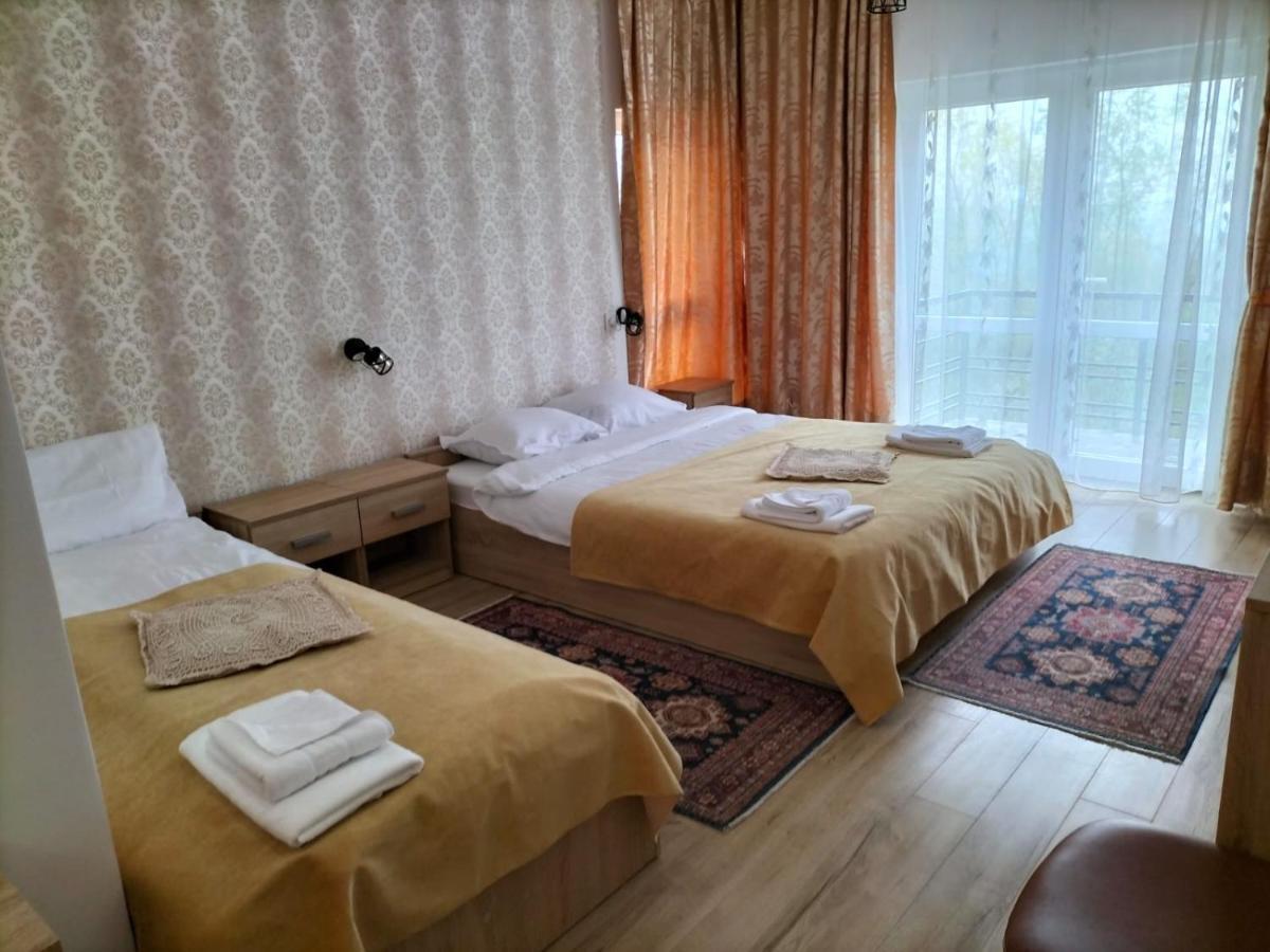 Conacul Doamnei Nucsoara Hotel Exterior photo