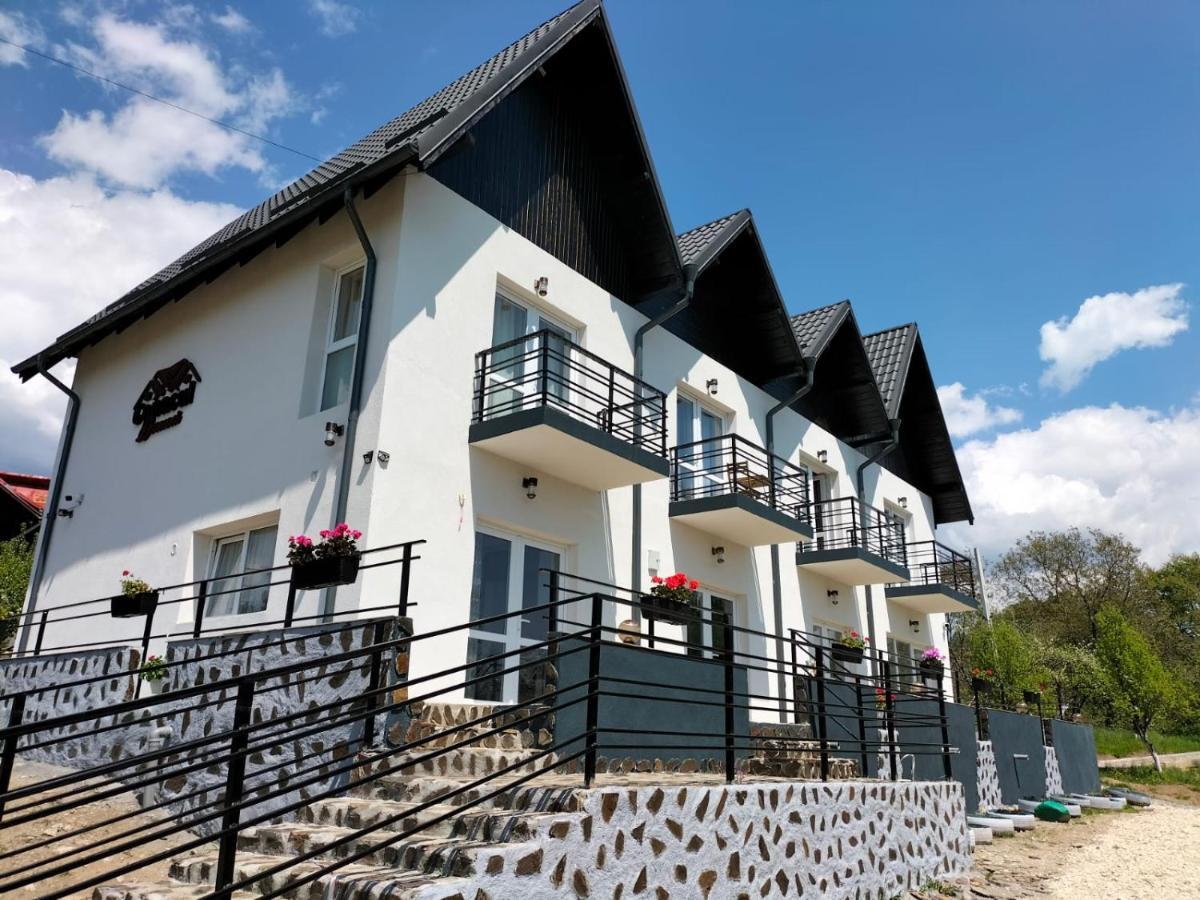 Conacul Doamnei Nucsoara Hotel Exterior photo