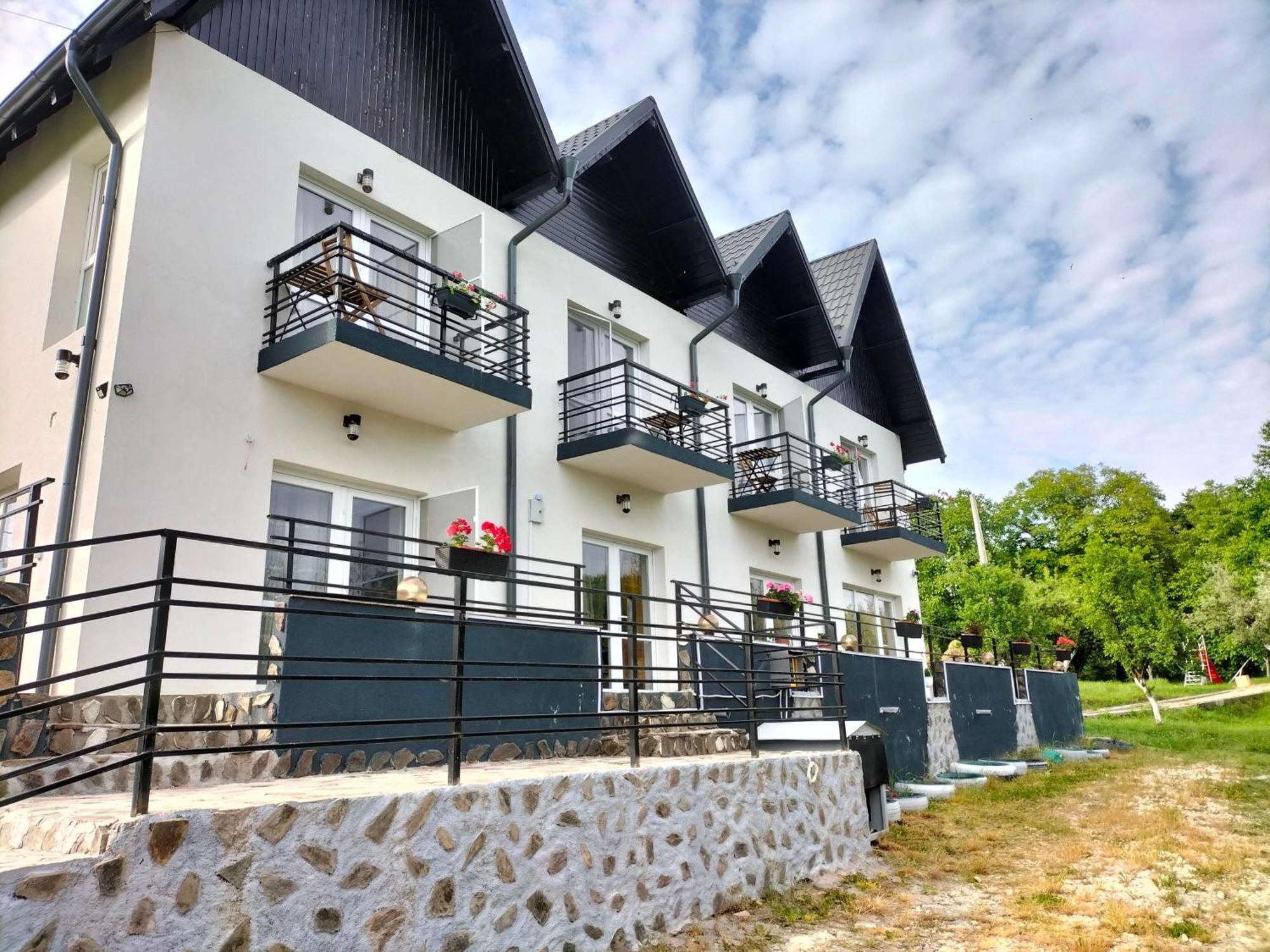 Conacul Doamnei Nucsoara Hotel Exterior photo
